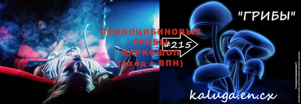 соль ск Алексин